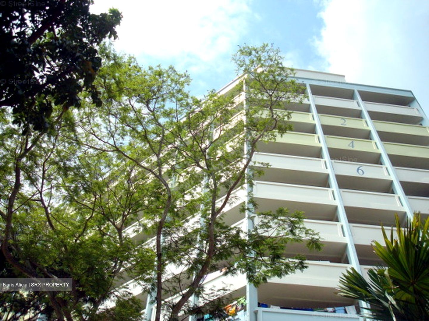Blk 246 Yishun Sunshine (Yishun), HDB 4 Rooms #609029371
